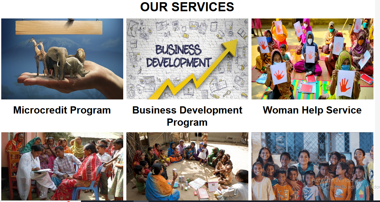 NGO Demo Website